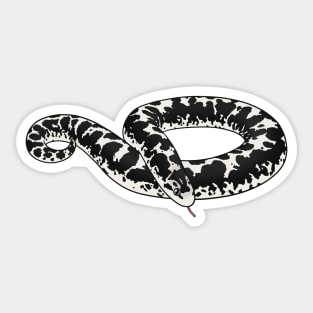 Anerythristic Kenyan Sand Boa Sticker